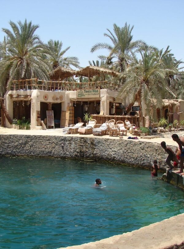 Ankhtours, siwa oasis , cleaopatra spring