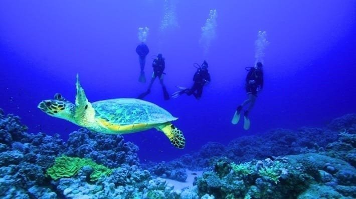 Ankhtours, Hurghada Red sea