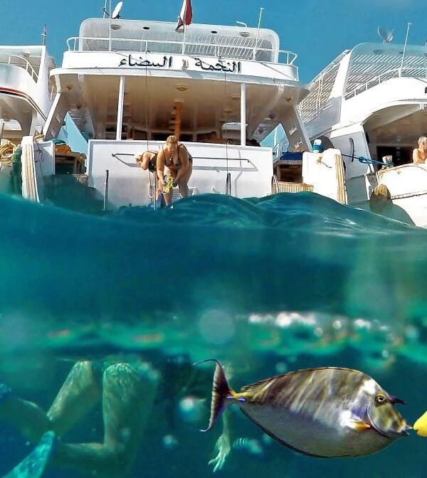 Ankhtours, red sea corals