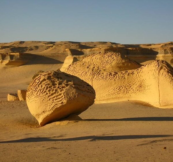 Ankhtours, fayoum oasis trip, the valley of the whales.